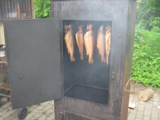 2010-05: BVO Ostfriesland