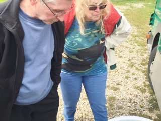 2018-04: Fischbesatz Aale