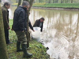 2018-04: Fischbesatz Aa