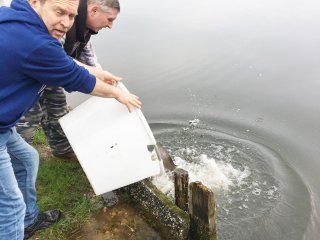 2018-04: Fischbesatz Müssen