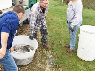2018-04: Fischbesatz Müssen