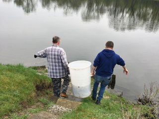 2018-04: Fischbesatz Müssen