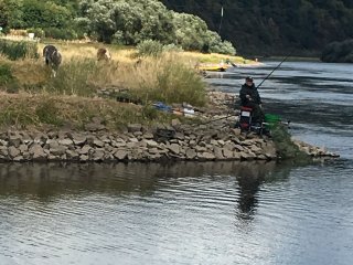 2018-08 Angelfahrt