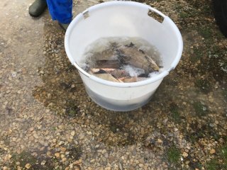 Fischbesatz Herbst 2018
