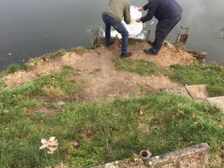 Fischbesatz Herbst 2018
