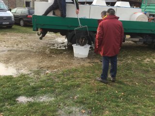 Fischbesatz Herbst 2018