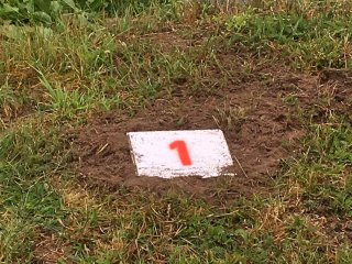 2019-07: Arbeitseinsatz