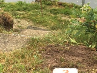 2019-07: Arbeitseinsatz