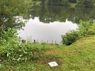 2019-07: Arbeitseinsatz