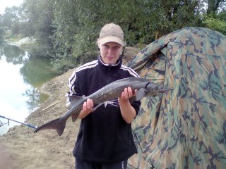 Fische