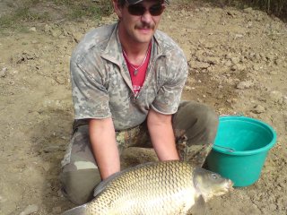 Fische