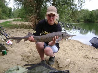 Fische
