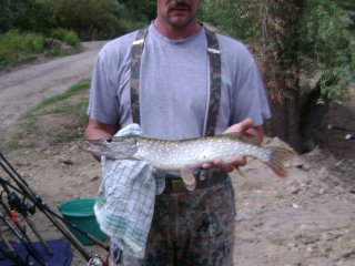 Fische