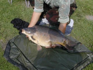 Fische
